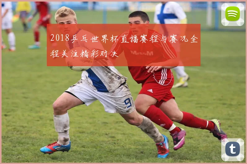 2018乒乓世界杯直播赛程与赛况全程关注精彩对决
