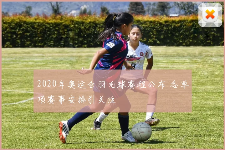 2020年奥运会羽毛球赛程公布 各单项赛事安排引关注