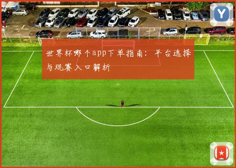 世界杯哪个app下单指南：平台选择与观赛入口解析